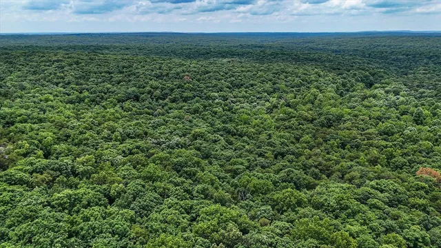 a view of a yard with a house
