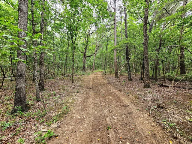 a view of outdoor space and green space