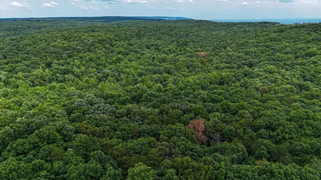 a view of a field of grass and trees