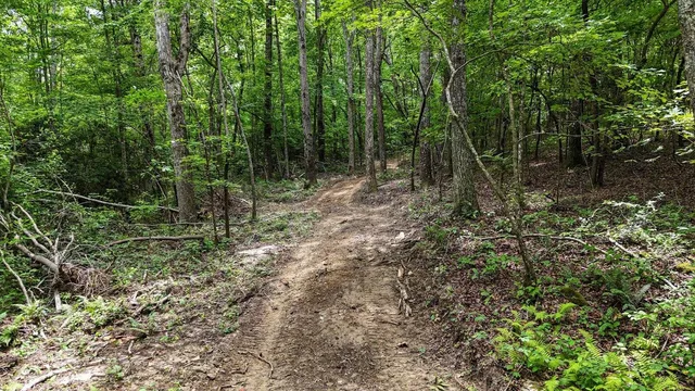 a view of outdoor space and green space