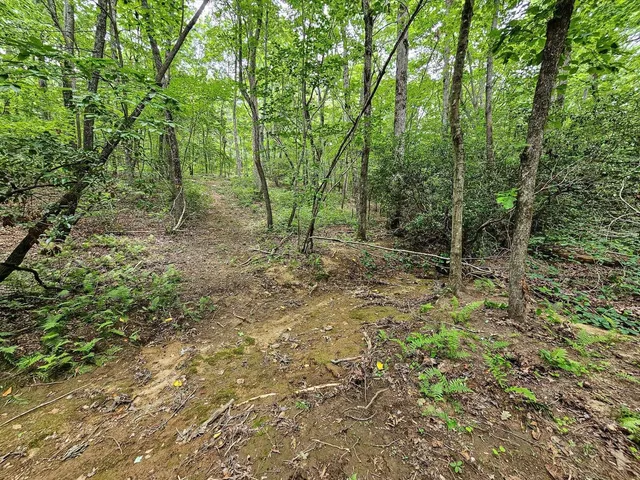 a view of outdoor space and green space