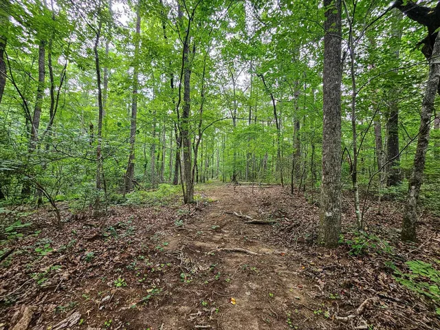 a view of outdoor space and green space