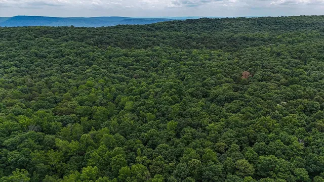 a view of a field of grass and a building