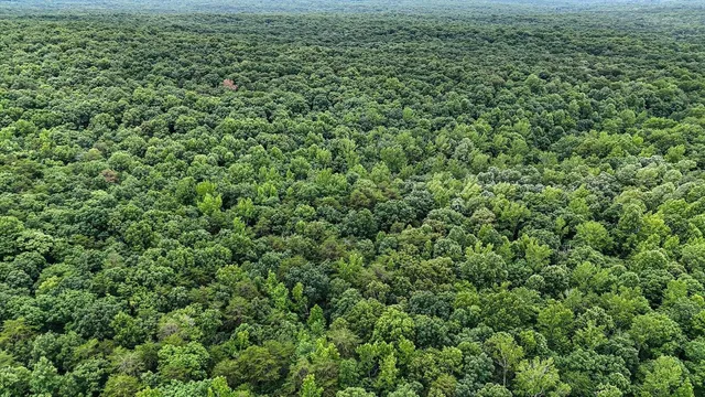 a view of a large yard with lots of bushes