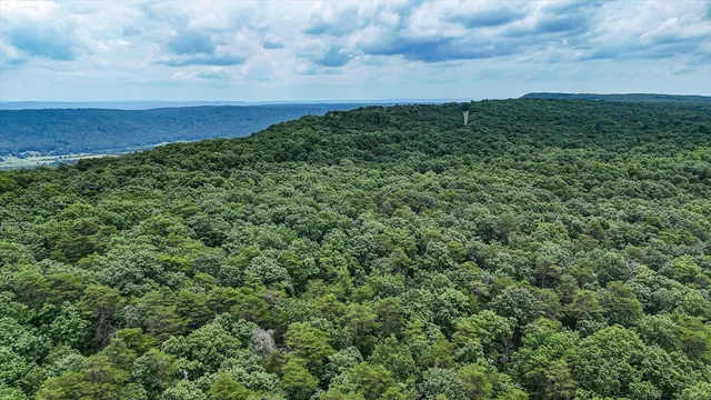 a view of a large yard with lots of green space