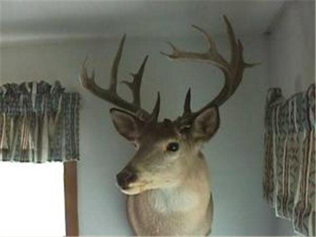 590th Avenue Sebeka, MN 56477 - Photo 2 of 9 Gallery Image 2