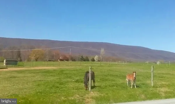 a view of an ocean and a yard