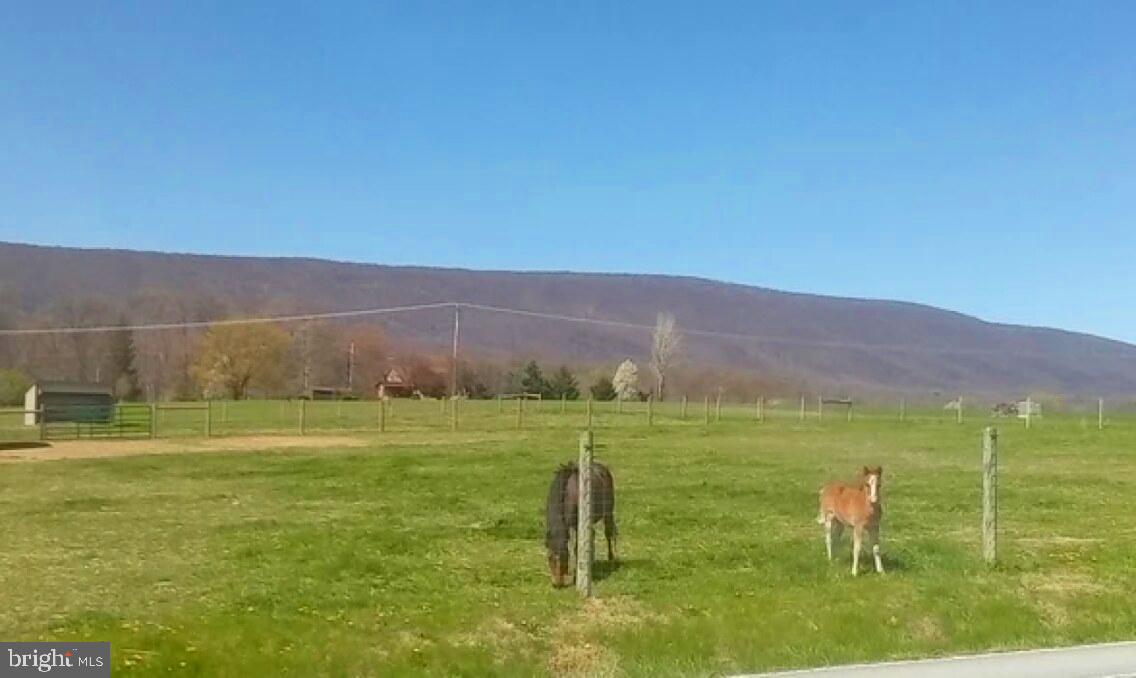 105 Enola Road Newburg, PA 17240 - Photo 15 of 22