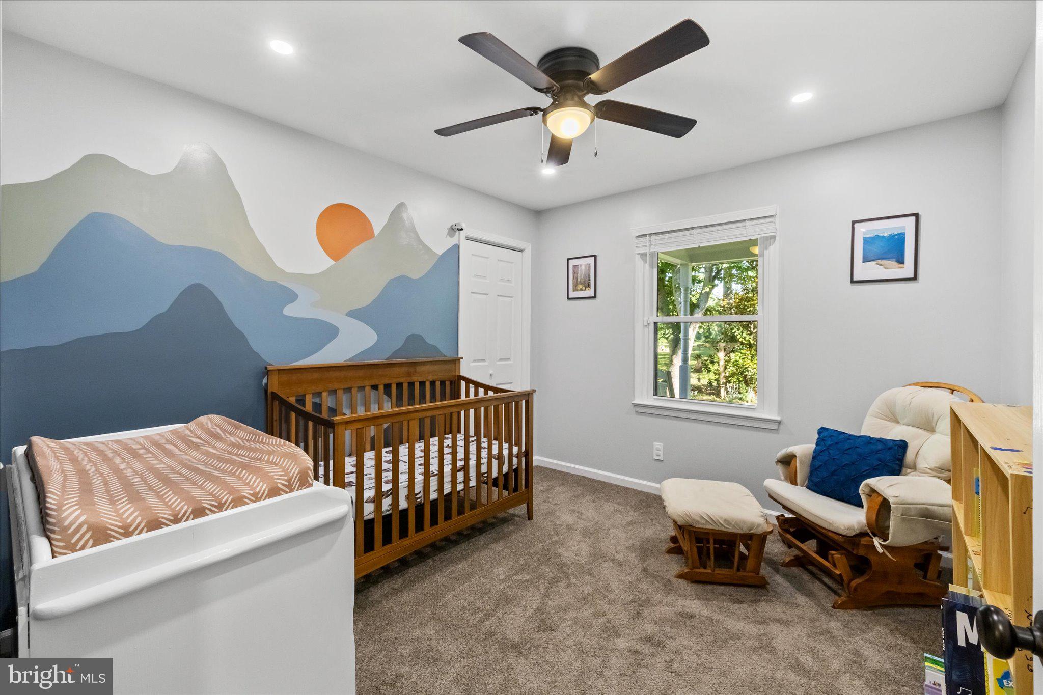 230 Richards Ferry Road Fredericksburg, VA 22406 - Photo 36 of 96 Serene nursery with mountain mural.