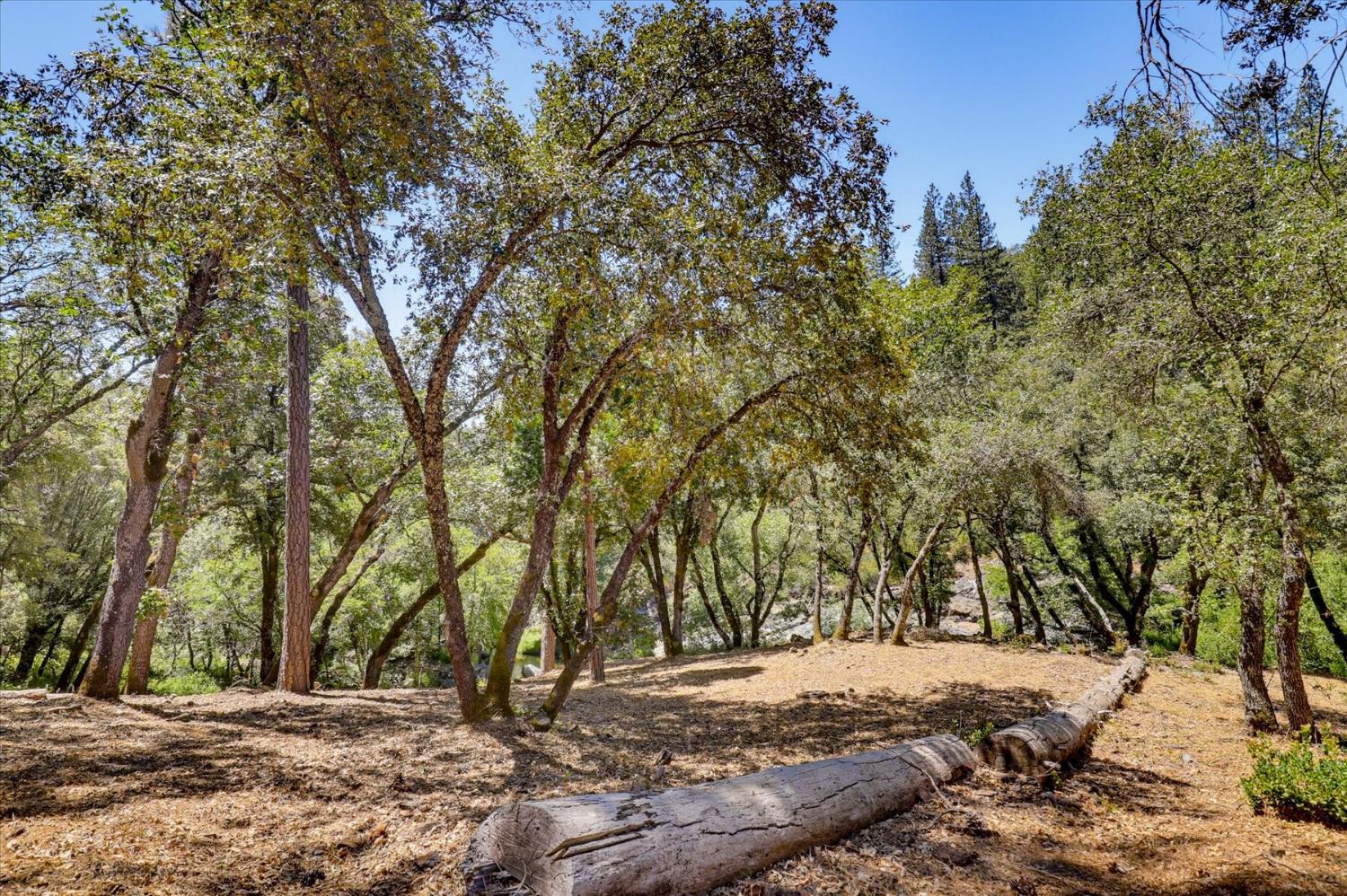 16300 Kiwi Road Grass Valley, CA 95949 - Photo 60 of 88 Gallery Image 60