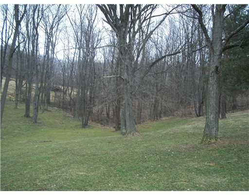 172 Potato Run Road Washington, PA 15301 - Photo 18 of 18 Yard/Garden. View from the back porch.