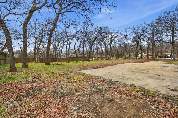 a view of a yard with a trees