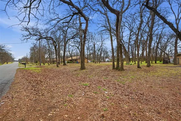 a view of road with trees