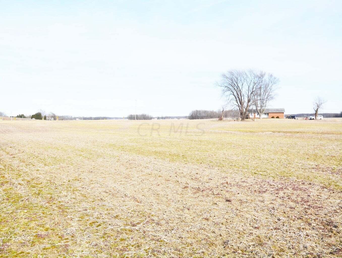 5 Carters Corner Road Sunbury, OH 43074 - Photo 11 of 12 20220305043713023842000000-o