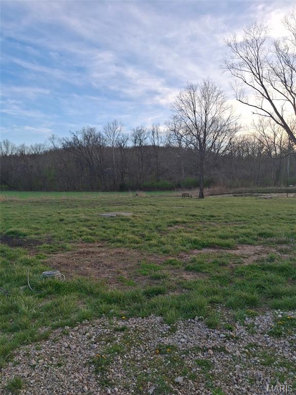 8191 State Rd Bb Hillsboro, MO 63050 - Photo 10 of 13