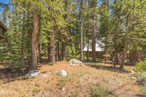 a view of outdoor space with trees