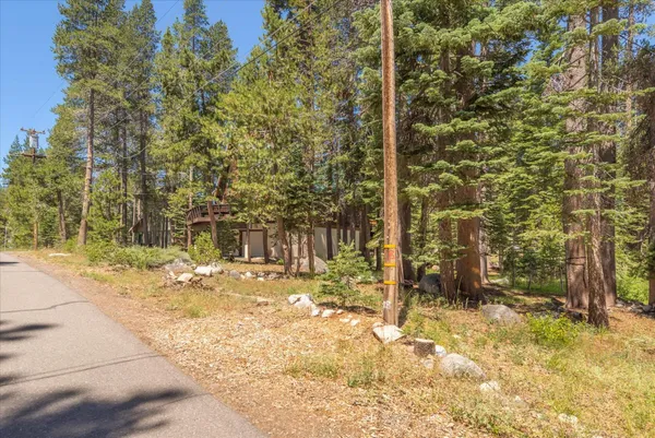 a view of a yard with plants and trees
