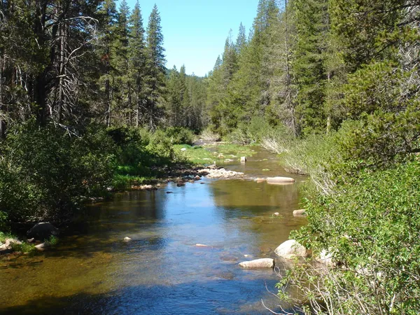 $100,000 | 51711 Tamarack Crescent, Soda Springs, CA 95728