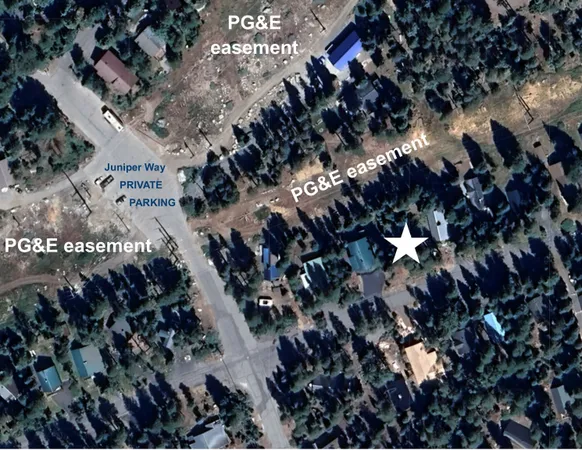 a view of a yard with plants and trees