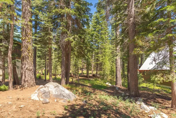 a view of yard with large trees
