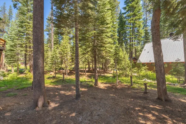 a view of a yard with trees