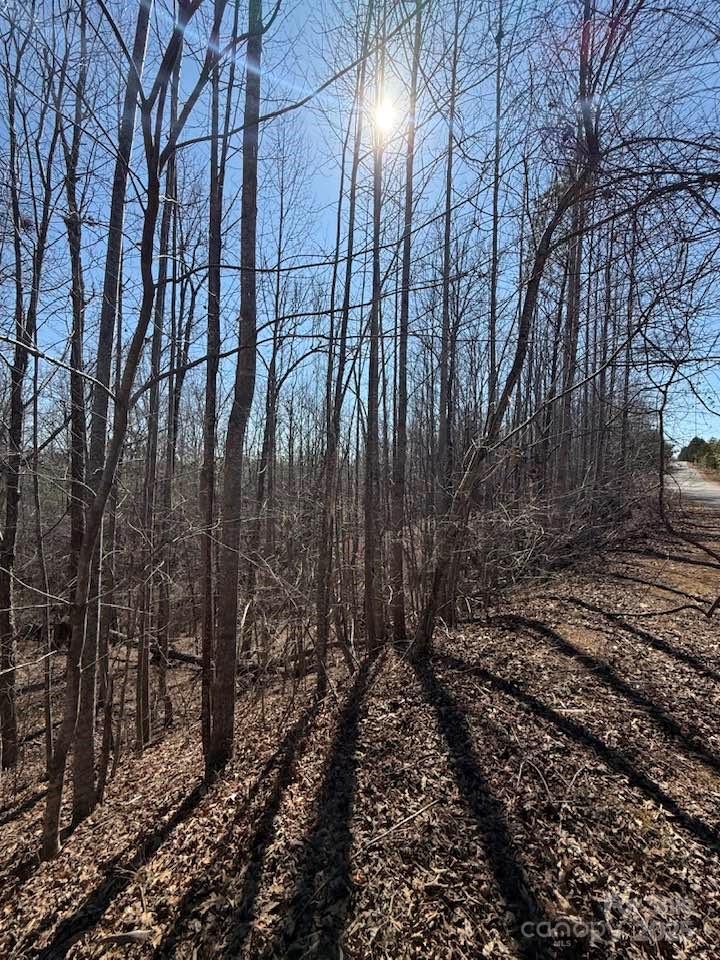 6 Rachel Bell Road Mill Spring, NC 28756 - Photo 34 of 39 a view of a yard