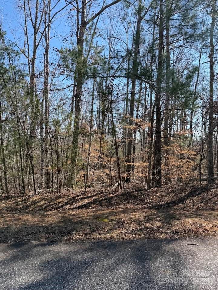 6 Rachel Bell Road Mill Spring, NC 28756 - Photo 36 of 39 a backyard of a house with lots of green space