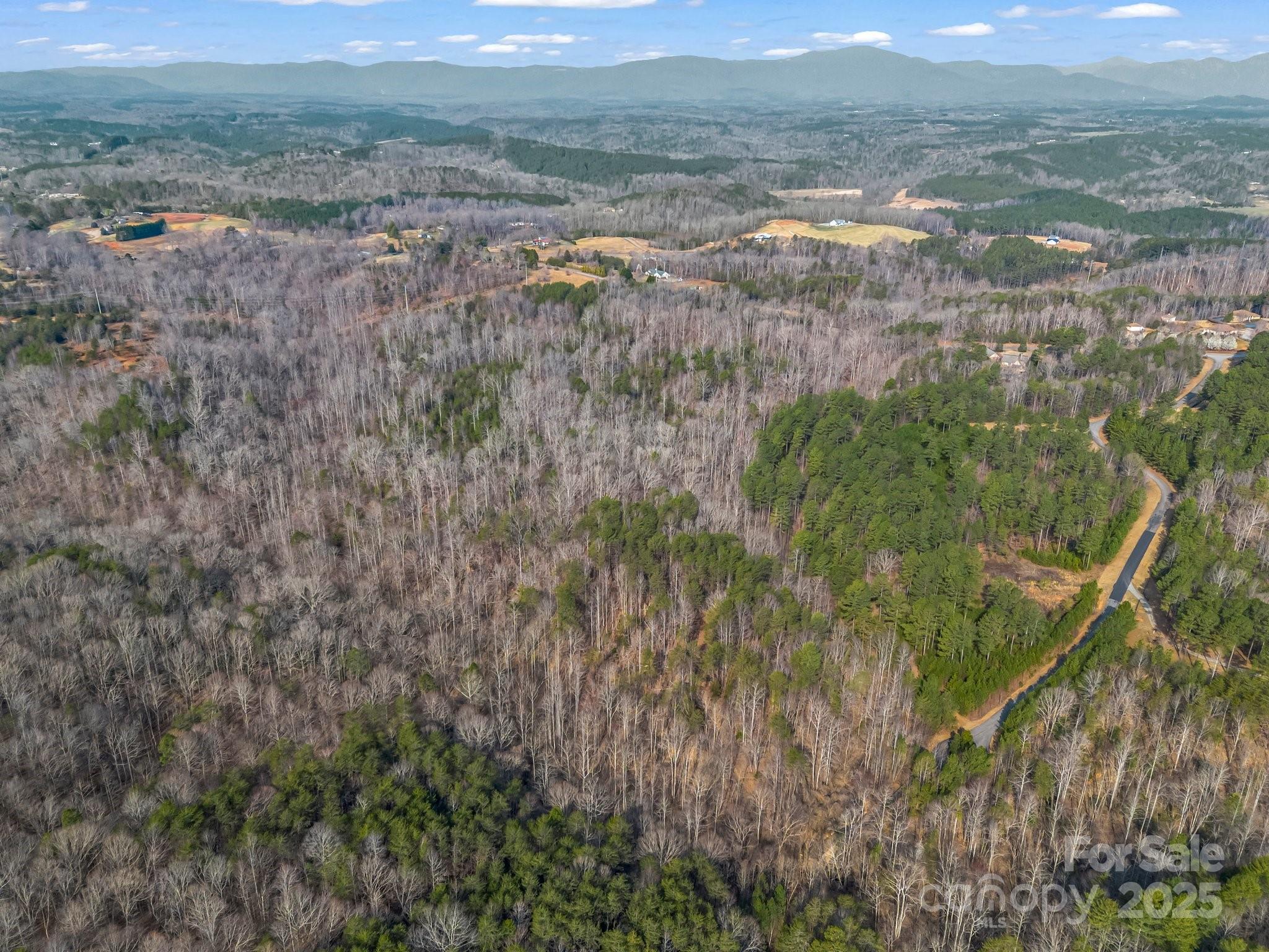 6 Rachel Bell Road Mill Spring, NC 28756 - Photo 37 of 39