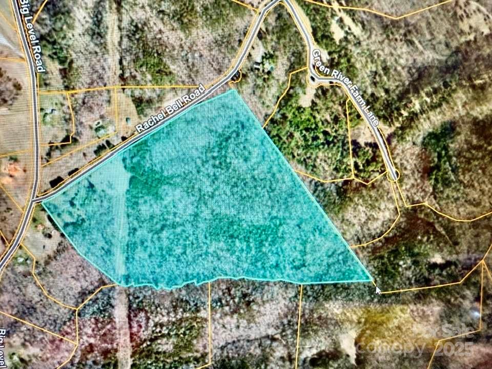 6 Rachel Bell Road Mill Spring, NC 28756 - Photo 39 of 39 a backyard of a house with lots of green space