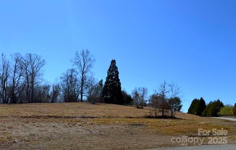 6 Rachel Bell Road Mill Spring, NC 28756 - Photo 7 of 39 a view of a yard with a tree