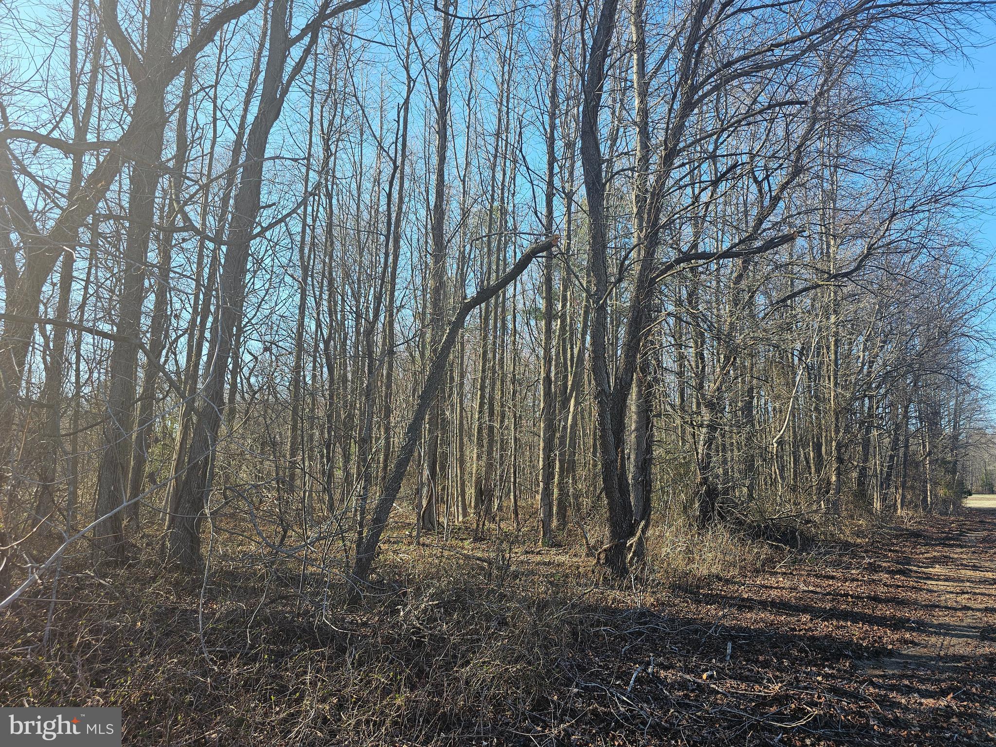 Fords Corner Road Clayton, DE 19938 - Photo 2 of 8 a view of a backyard of the house