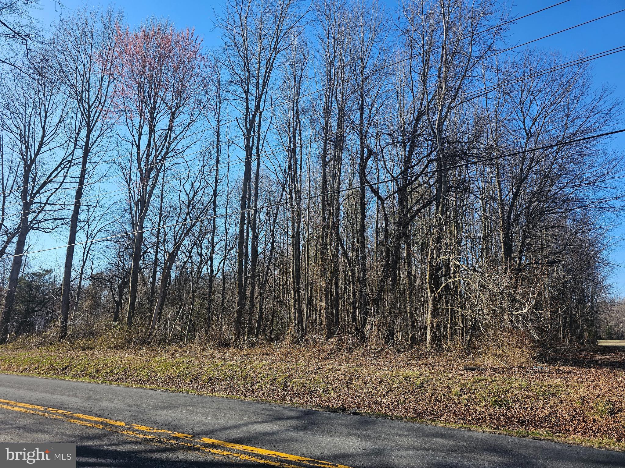 Fords Corner Road Clayton, DE 19938 - Photo 3 of 8 a view of a backyard of the house