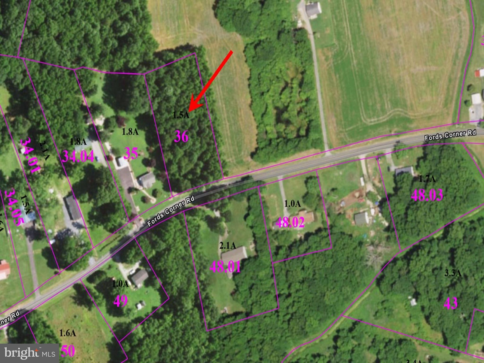 Fords Corner Road Clayton, DE 19938 - Photo 8 of 8 a view of a flower in a garden