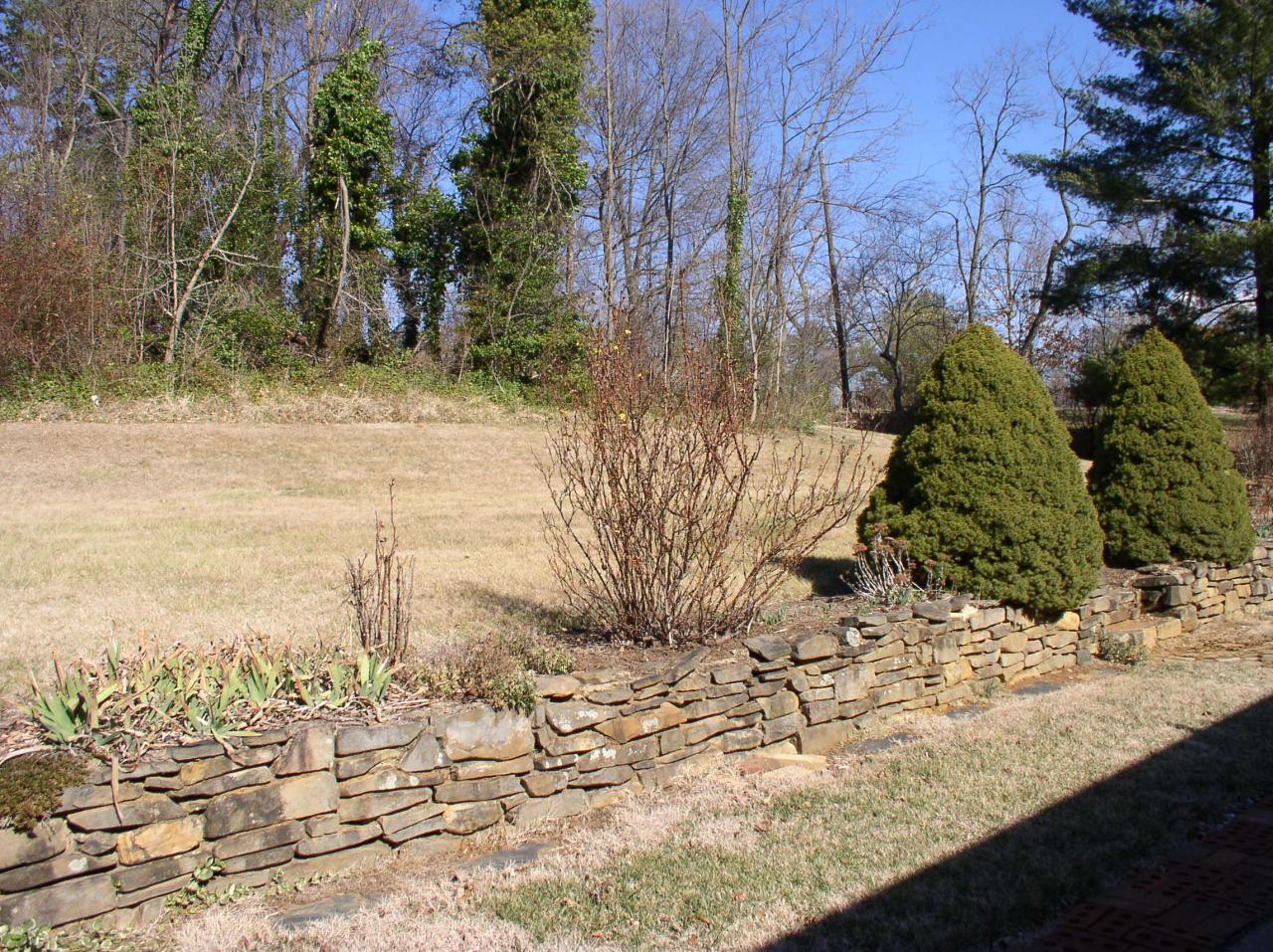3403 Windsor Road Roanoke, VA 24018 - Photo 5 of 5 Back Yard