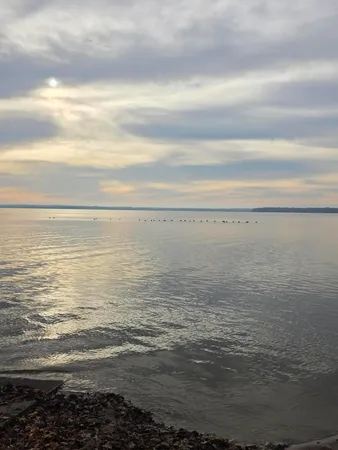 $255,000 | W9592 Lake Drive, Sumner, WI 53534