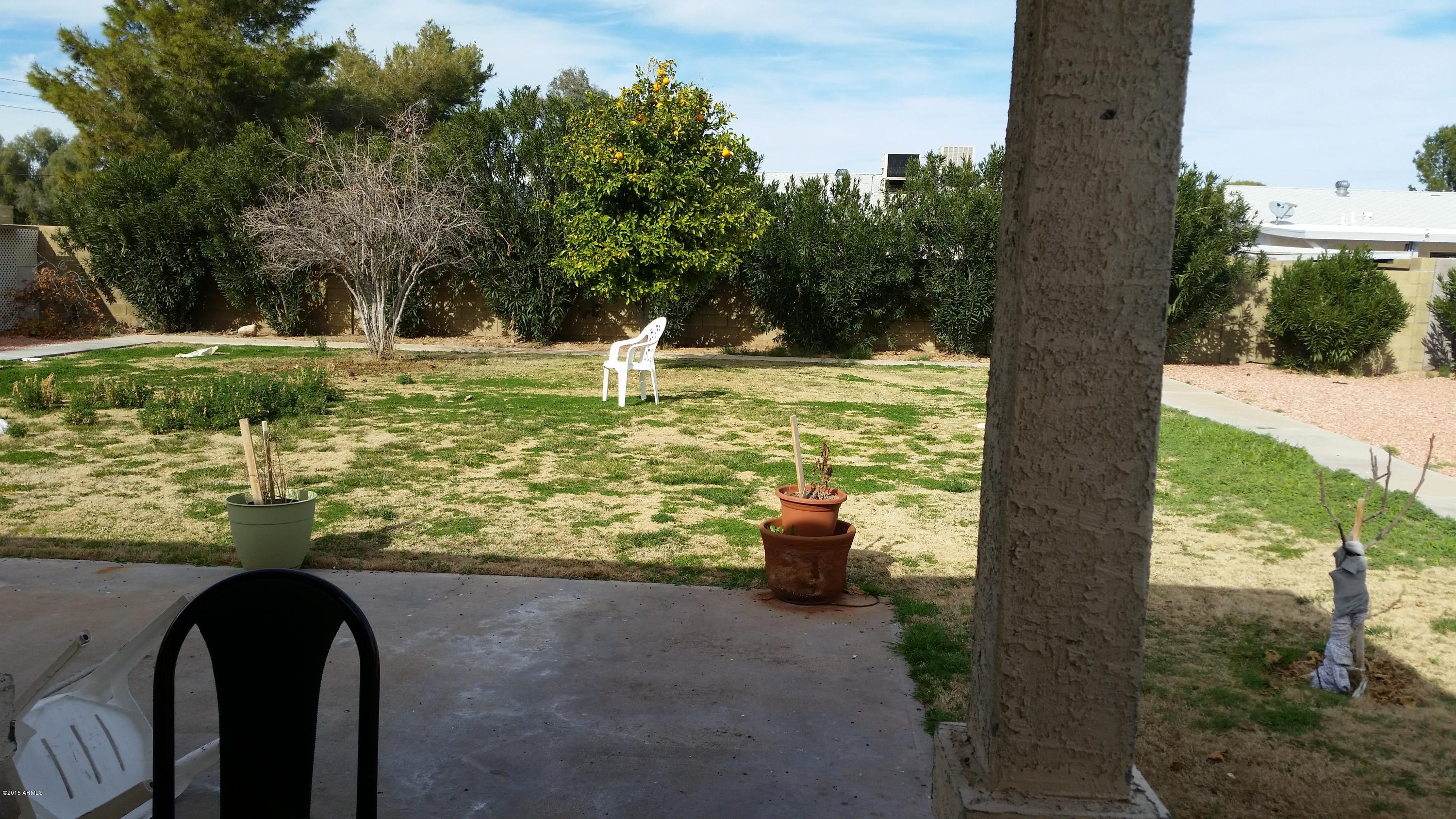 1840 West Utopia Road Phoenix, AZ 85027 - Photo 19 of 22 Grassy Back Yard