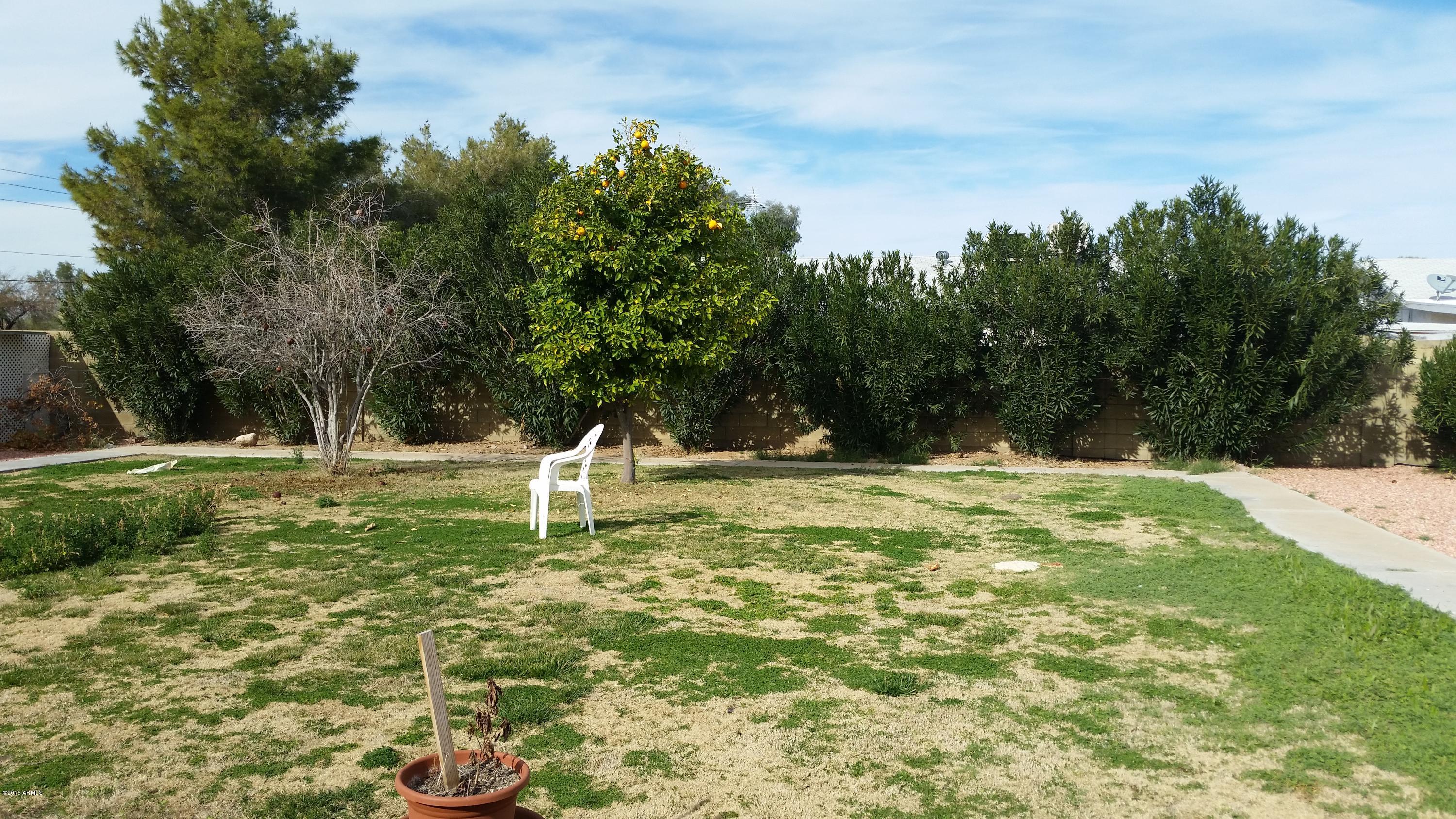Huge Yard with Lots of Trees