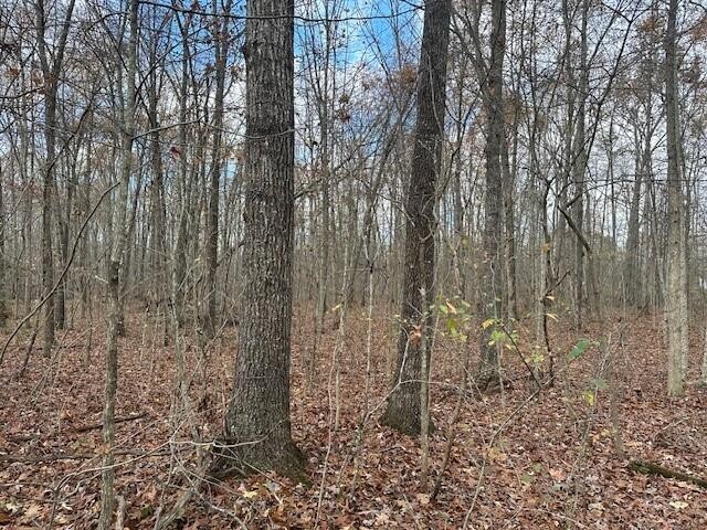 12 Prater Road Pikeville, TN 37367 - Photo 6 of 19 Gallery Image 6