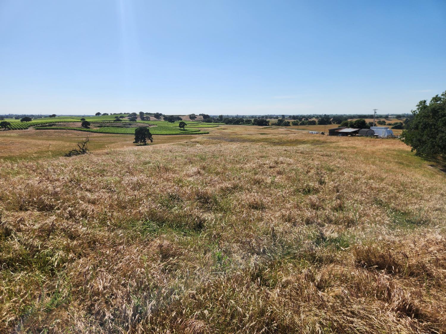 22601 North Johnson Road Clements, CA 95227 - Photo 28 of 39 a view of a lake with houses in the back