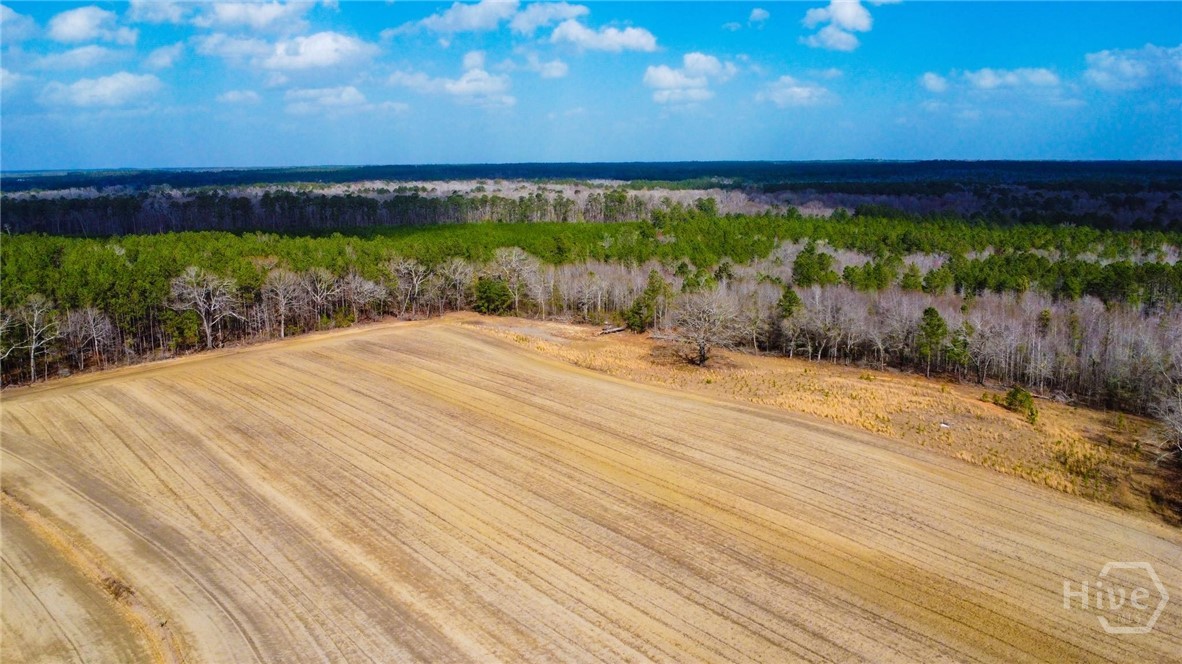 0 Tillman Eason Road Claxton, GA 30417 - Photo 6 of 28