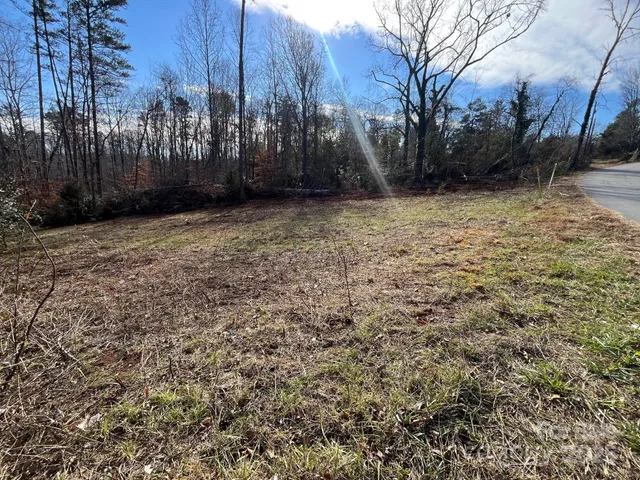 a view of a yard with trees