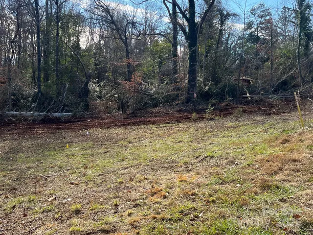 a view of a yard with trees