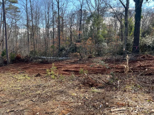 a view of a yard with trees