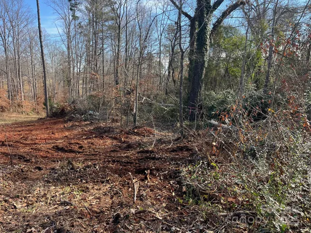 a view of a forest with trees