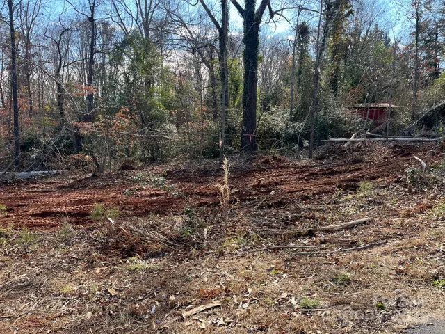 a view of a forest with trees in the background