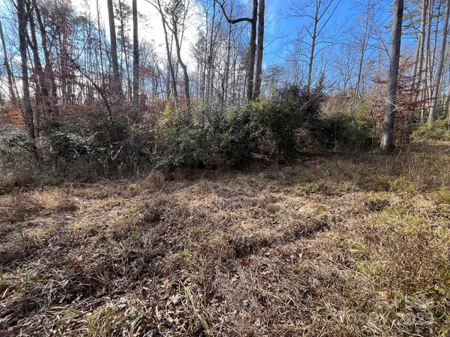 a view of a yard with plants and trees