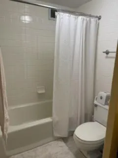 a bathroom with a toilet and a bathtub