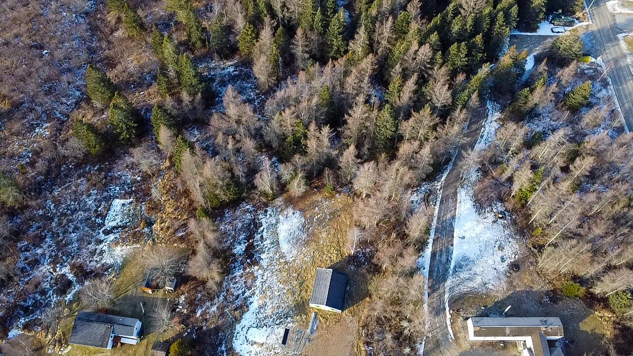 63 Duck Cove Road Roque Bluffs, ME 04654 - Photo 9 of 15 aerial view