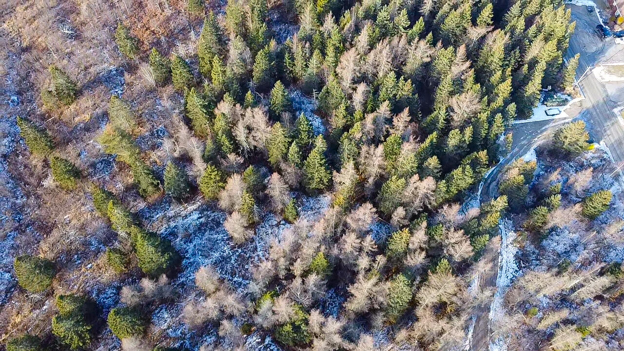 63 Duck Cove Road Roque Bluffs, ME 04654 - Photo 10 of 15 aerial view