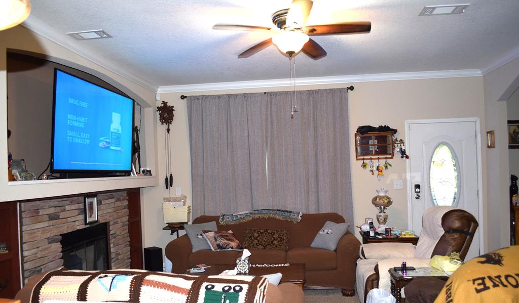 7252 County Road 49 Slocomb, AL 36375 - Photo 10 of 75